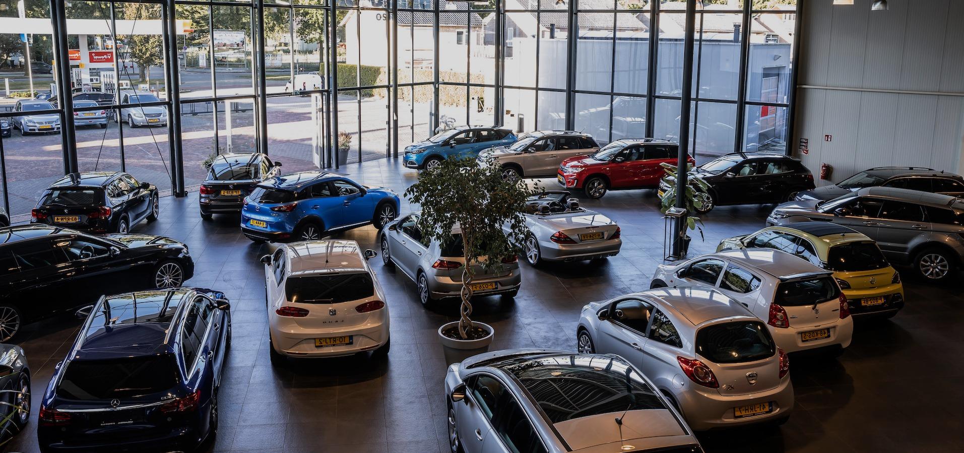 Header Image 1