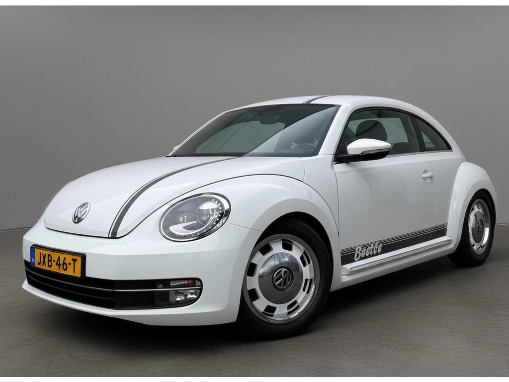 50678294